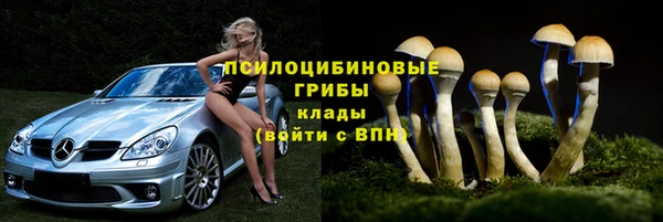 крисы Калач
