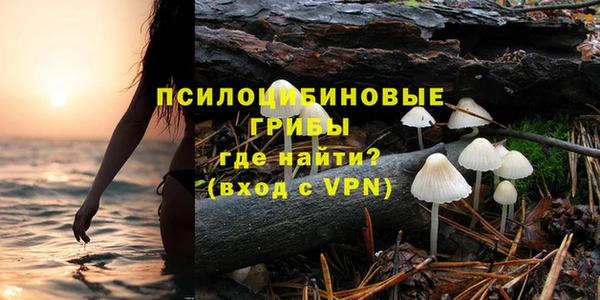 крисы Калач