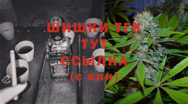 стаф Ивангород
