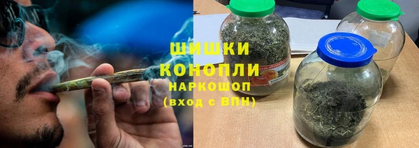 стаф Ивангород