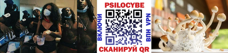 Псилоцибиновые грибы Psilocybe  Козельск 